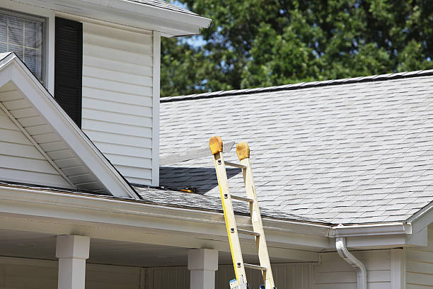 Best Storm Damage Siding Repair  in Forrest, IL