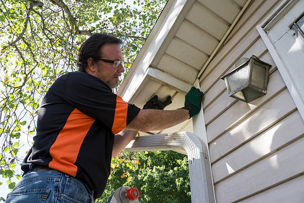 Best Stucco Siding  in Forrest, IL